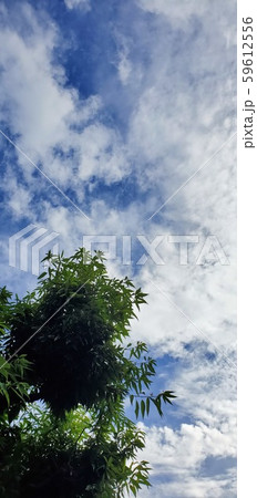 空 空 59612556