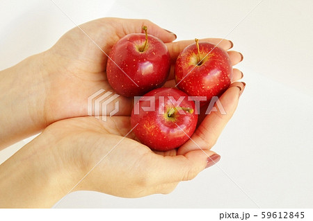 両手に載せた３個の姫りんご 59612845