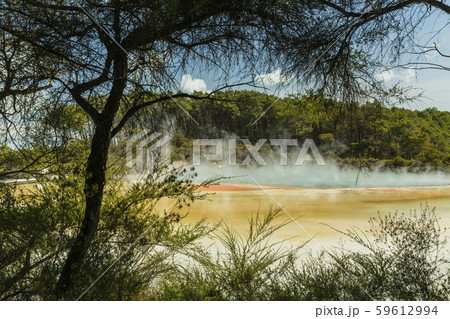 ニュージーランド ワイ・オ・タプ アーティスト・パレットとシャンパン・プール ニュージーランド ワイ・オ・タプ アーティスト・パレットとシャンパン・プール 59612994