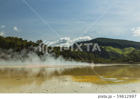 ニュージーランド ワイ・オ・タプ アーティスト・パレットとシャンパン・プール ニュージーランド ワイ・オ・タプ アーティスト・パレットとシャンパン・プール 59612997