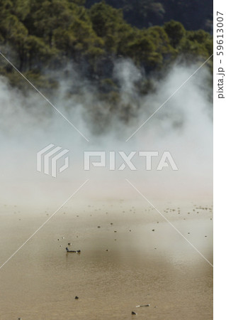 ニュージーランド ワイ・オ・タプ アーティスト・パレットとシャンパン・プール ニュージーランド ワイ・オ・タプ アーティスト・パレットとシャンパン・プール 59613007