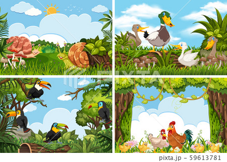 Set of various animals in nature scenes 59613781