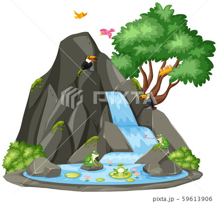 Background scene of toucan and frog by the Background scene of toucan and frog by the 59613906