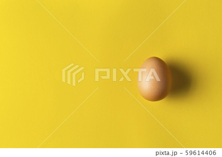 one chicken egg 59614406