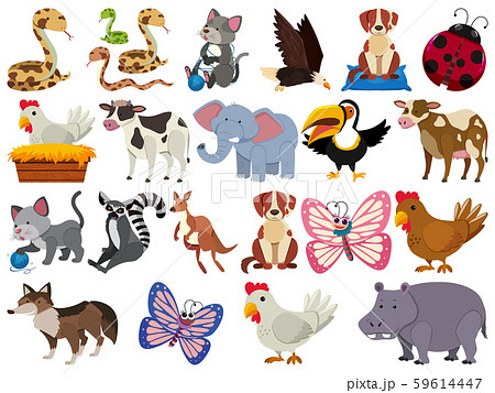 Set of isolated objects of animals 59614447