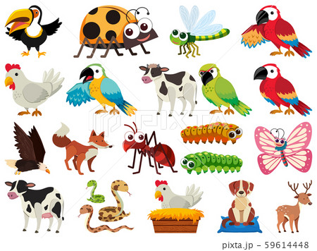 Set of isolated objects theme animals Set of isolated objects theme animals 59614448