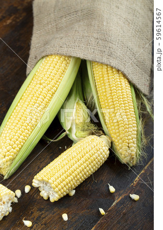 sweet young corn on wooden background 59614567
