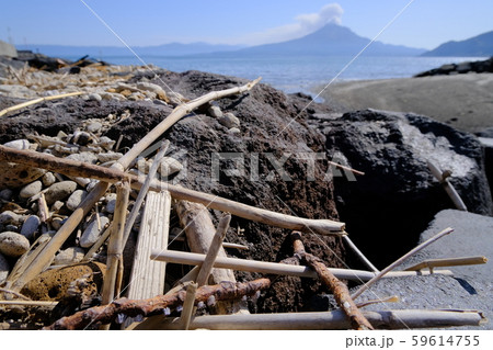 姶良の海に打ち上がる漂流物 59614755