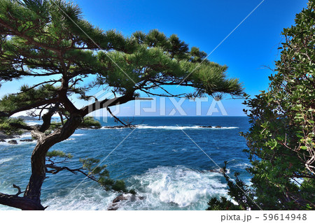 越前海岸 鉾島 越前海岸 鉾島 59614948