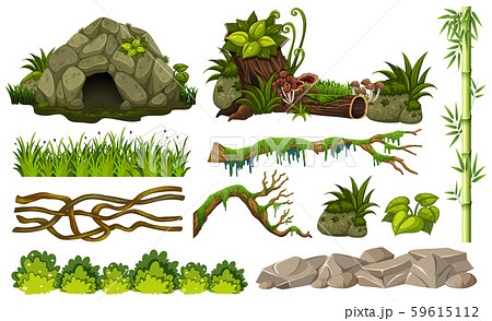 Set of jungle objects 59615112