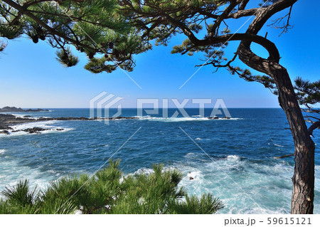 越前海岸　鉾島 59615121