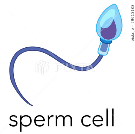Close up of a sperm cell Close up of a sperm cell 59615138