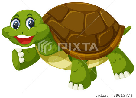 A turtle on white background 59615773