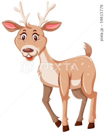 Happy cute deer white background 59615776
