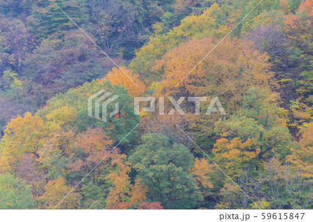 徳山ダム8594 59615847