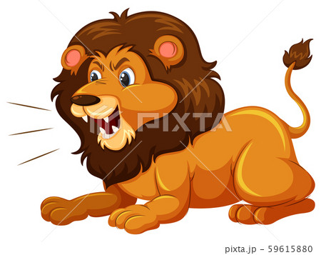A lion on white background A lion on white background 59615880