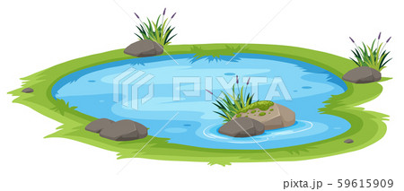 A Natural Pond On White Backgroundのイラスト素材 A Natural Pond On White Backgroundのイラスト素材