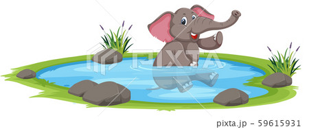 Happy elephant playing in the water 59615931