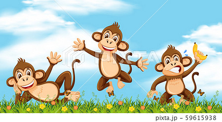 Wild monkey in nature 59615938
