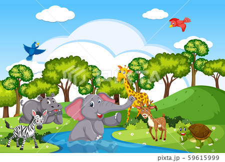 Wild animals living near river Wild animals living near river 59615999