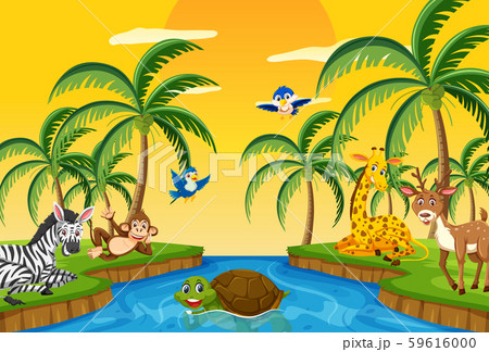 Wild animals at sunset 59616000