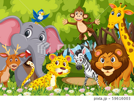 Group Of Animals In Jungleのイラスト素材