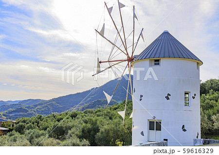 オリーブ公園 オリーブ公園 59616329