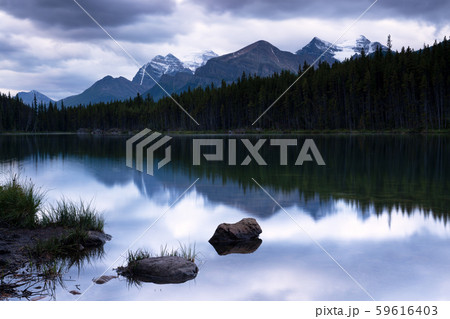 Icefield Parkway, Banff National Park, Alberta, 59616403