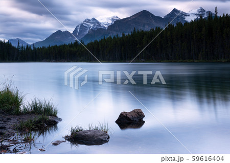 Icefield Parkway, Banff National Park, Alberta, 59616404
