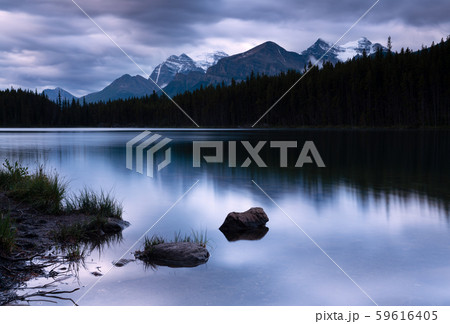 Icefield Parkway, Banff National Park, Alberta, 59616405