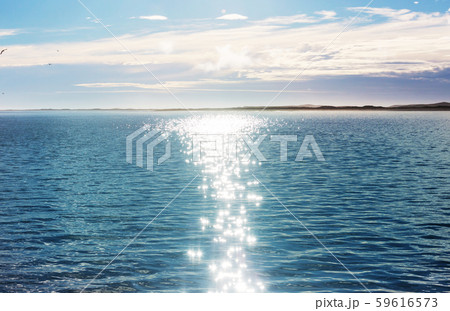 Sea 59616573
