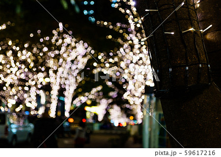 丸の内　イルミネーション　東京　都市風景　日本　都内　観光スポット　クリスマス　イルミネーション 59617216
