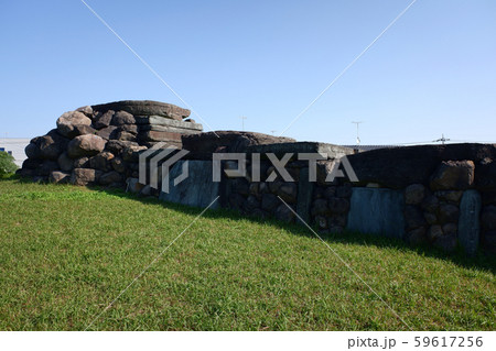 埼玉　八幡山古墳 59617256