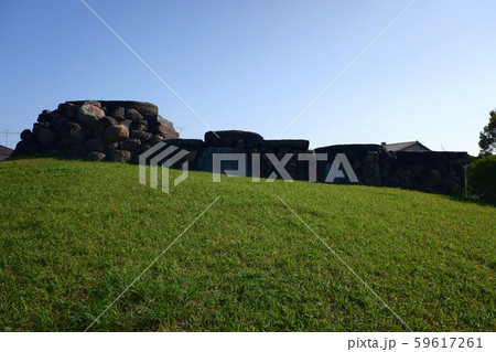 埼玉　八幡山古墳 59617261