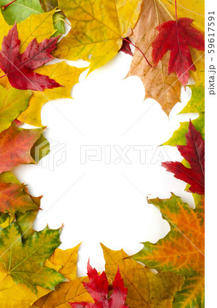 Border frame of colorful autumn maple leaves 59617591