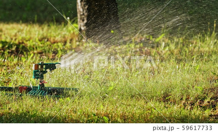 automatic sprinkler watering trees and grass 59617733
