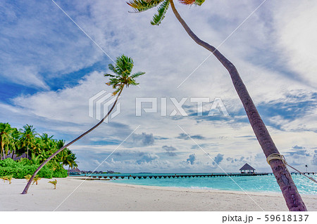 モルディブ 59618137