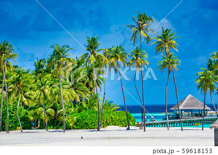 モルディブ 59618153