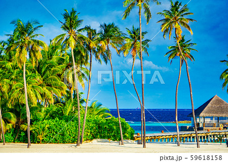 モルディブ 59618158