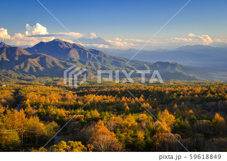 秋の清里高原　美し森 59618849