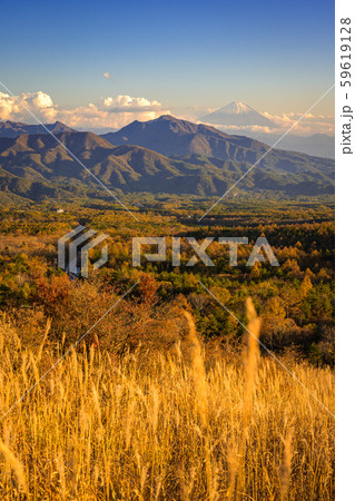 秋の清里高原　美し森 59619128