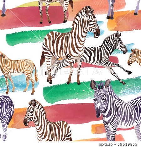 Exotic zebra wild animal in a watercolor style. Watercolor background illustration set. Seamless 59619855