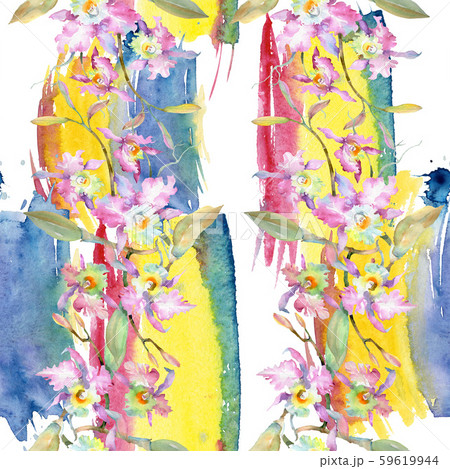 Bouquet of pink orchid. Floral botanical flowers. Watercolor background illustration set. Seamless 59619944