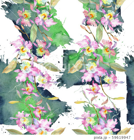 Bouquet of pink orchid. Floral botanical flowers. Watercolor background illustration set. Seamless 59619947
