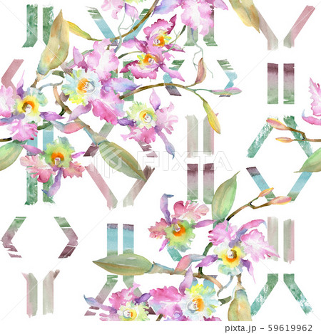 Bouquet of pink orchid. Floral botanical flowers. Watercolor background illustration set. Seamless 59619962