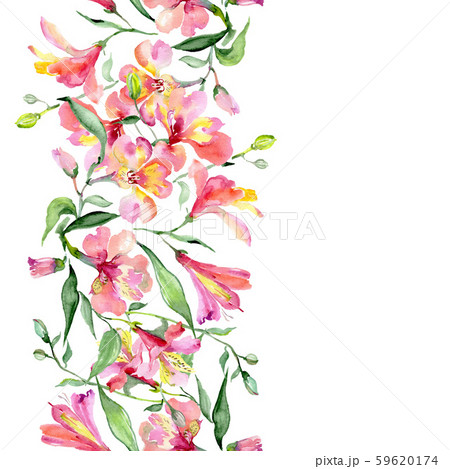Pink Alstroemeria Bouquet Floral Botanical のイラスト素材