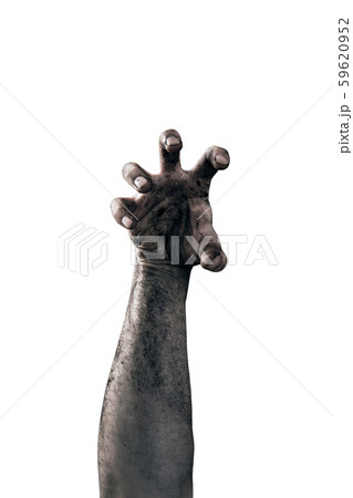 Zombie hand dirty with soil isolated on white background Zombie hand dirty with soil isolated on white background 59620952