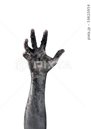 Zombie hand dirty with soil isolated on white background Zombie hand dirty with soil isolated on white background 59620954