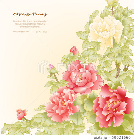 Peony tree branch with flowers 59621660