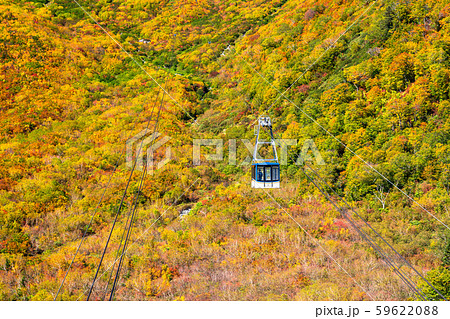 《富山県》紅葉の黒部平・立山黒部アルペンルート 59622088
